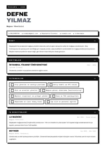  cv indir